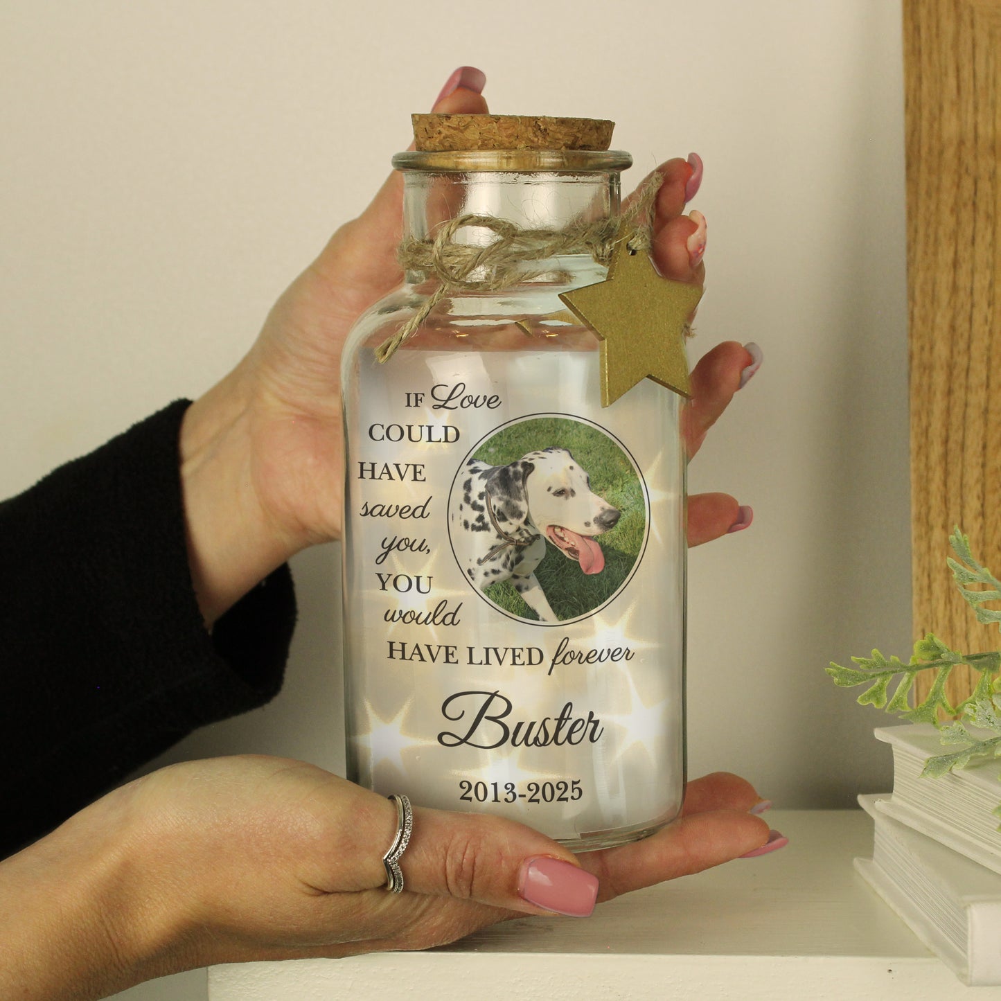 Personalised Pet Memorial Own Photo LED Light Up Jar